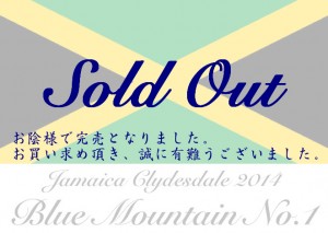 Jamaica_Final_mini_Out