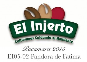 El_Injerto_Auction_2015