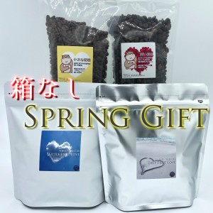 Spring_Gift_N